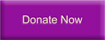 Image of donate now button