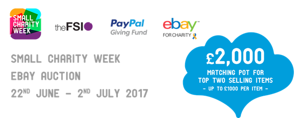 Small Charity Week ebay auction