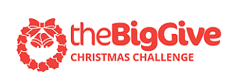 the big give christmas challenge