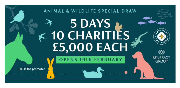 animal and wildlife special darw 5 days 10 charities £5,000 each opens 19 february